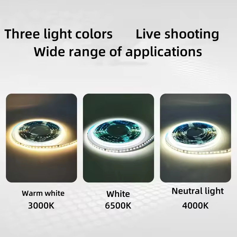 Lampu Lampu Lampu Lampu Lampu Lampu Lampu Lampu Lampu Lampu Lampu Lampu Lampu Lampu Lampu Lampu