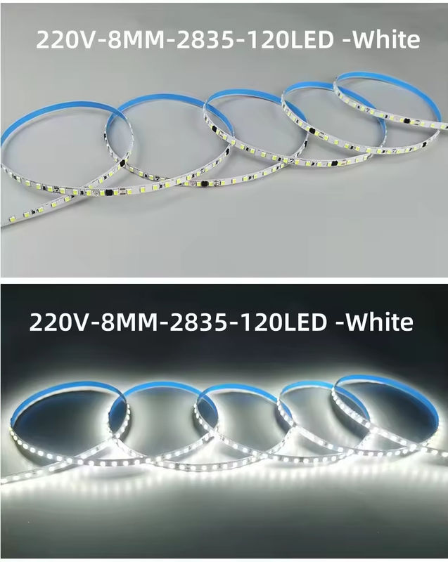 Lampu Lampu Lampu Lampu Lampu Lampu Lampu Lampu Lampu Lampu Lampu Lampu Lampu Lampu Lampu Lampu