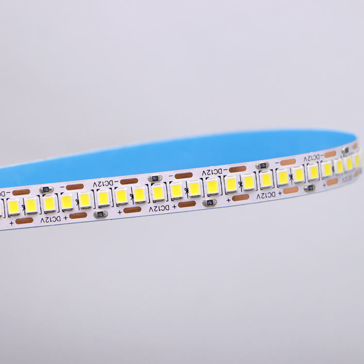 DC12V/24V 10mm 5M/Roll 2835 80Ra LED Strip Dengan PCB Putih Dan 120° Beam Angle