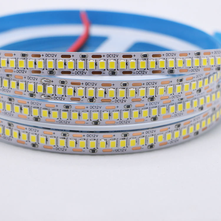 DC12V/24V 10mm 5M/Roll 2835 80Ra LED Strip Dengan PCB Putih Dan 120° Beam Angle