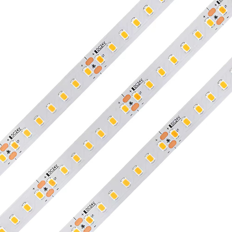 CRI tinggi 98 Full Spectrum Long Life 120leds/M Dc24v 10mm 120led Smd 2835 Indoor Decoration Led Strip Light