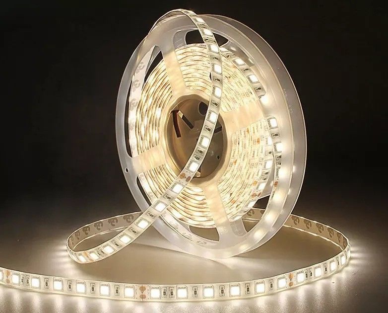12w 12v 24v 10mm 60 Led Rgb 5050 Smd Fleksibel Led Strip Lampu dengan dan Multi Warna