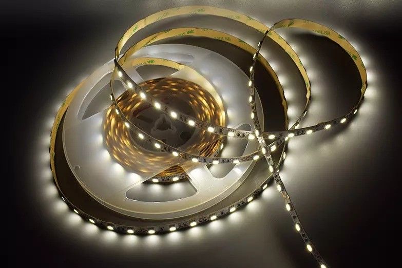 12w 12v 24v 10mm 60 Led Rgb 5050 Smd Fleksibel Led Strip Lampu dengan dan Multi Warna