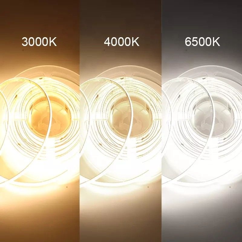 Lampu Neon RGBW RGBWW RGBIC RGB CCT untuk Pencahayaan Luar Ruang 50000 Jam Kerja