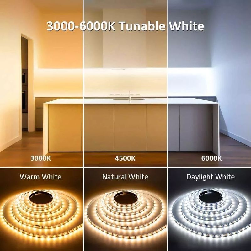 Pencahayaan Dekorasi Lanskap IP20 5m 10m 12v 24v 220v Rgbw Cob Light Strip