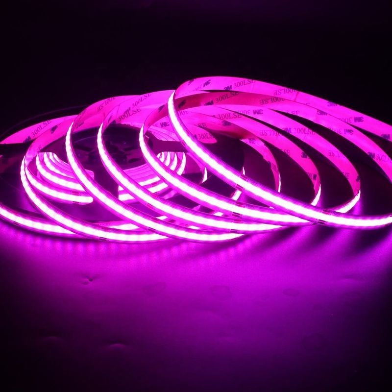 12v 24v 576LED RGB Suhu Warna Cob Led Strip Light Dimmable dengan dan CRI Ra 90